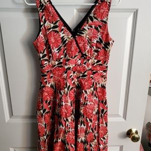 Robbie Bee swing dress